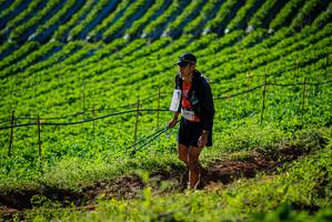 BIB: 6254
                            <button type="button" onclick="openModal(19160471)" class="btn btn-primary btn-sm float-right btn-popup" data-toggle="modal" data-target=".modal-high-quality">
                        <i class="fas fa-shopping-cart"></i> Add to Cart
                    </button>
                                            <button type="button" onclick="isThisMe(19160471, true)" class="btn btn-success btn-sm float-right btn-popup btn-isme hidden" data-toggle="tooltip" data-placement="bottom" title="นี่คือรูปของคุณใช่ไหม คลิกที่นี่เพื่อเอาเข้าอัลบั้ม">
                        <i class="fas fa-plus"></i> Add to album
                    </button>
                    <button type="button" onclick="isThisMe(19160471, false)" class="btn btn-warning btn-sm float-right btn-popup btn-isnotme hidden">
                        <i class="fas fa-ban"></i> Remove from album
                    </button>